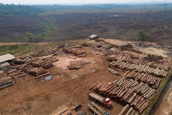 Deforestation in Brazil’s Amazon at its peak since 2006