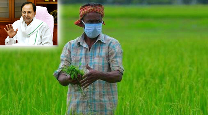 Framer working in paddy field. CM of telangana in the top left corner.