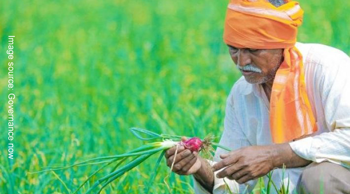 a FARMER CHECKINH HIS VEGETABLE CROP